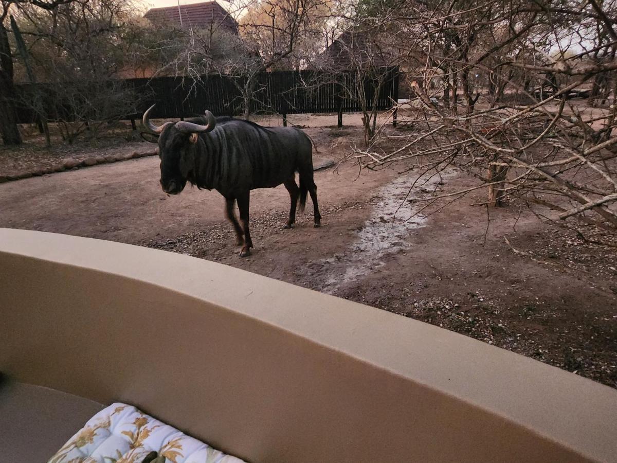 Appartamento Kudus Crest Bush Retreat Marloth Park Esterno foto