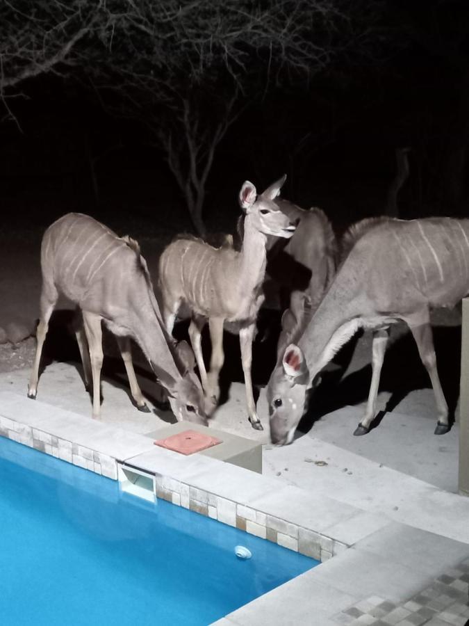 Appartamento Kudus Crest Bush Retreat Marloth Park Esterno foto